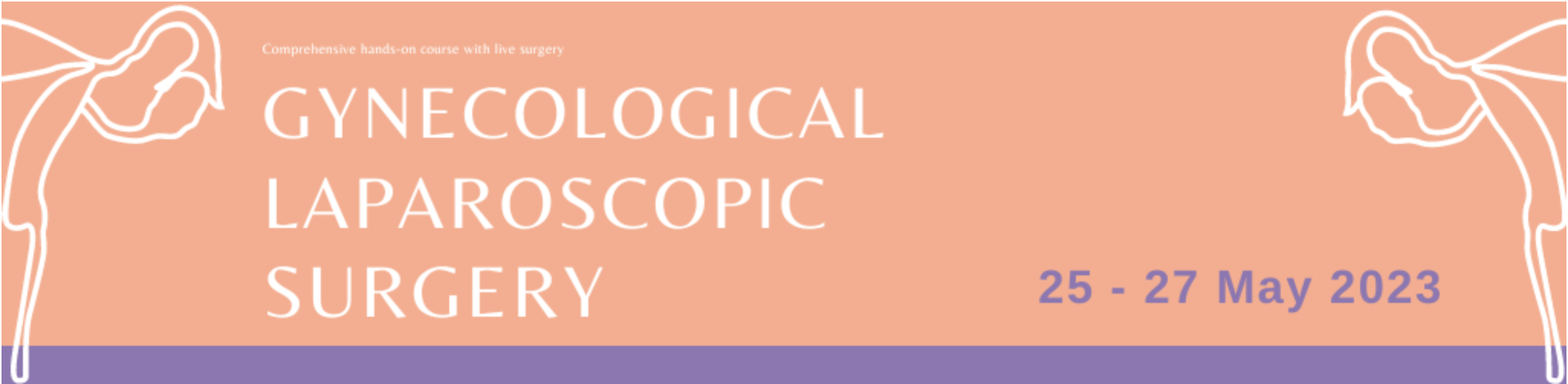 13ª Gynecological Laparoscopic Surgery | Hands-On Course - SPG